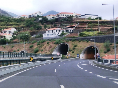 Fazenda Exit Branch Tunnel (on the left) and Fazenda Tunnel western portals