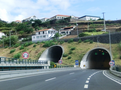 Fazenda Tunnel western portals