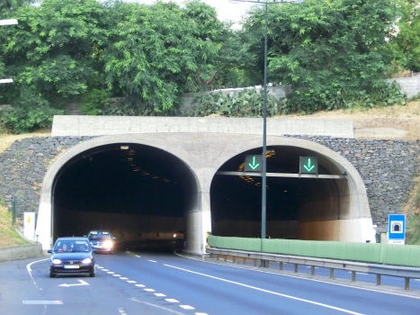 Tunnel unter dem Botanischen Garten