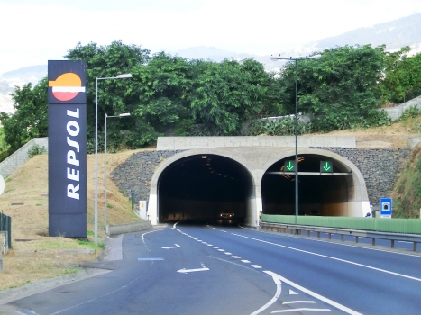 Jardim Botânico Tunnel eastern portals