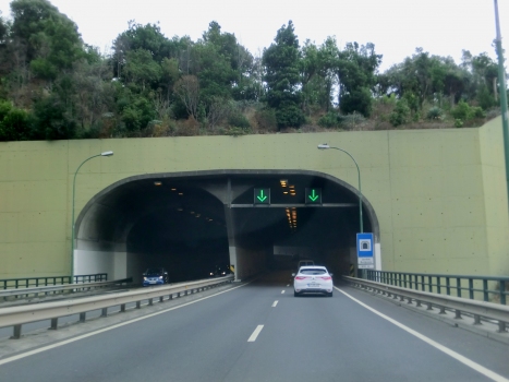Jardim Botânico Tunnel western portals