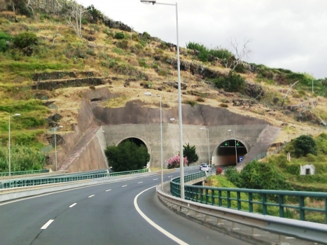 Mãe de Deus Tunnel western portals
