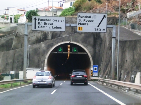 Marmeleiros Tunnel eastern portal