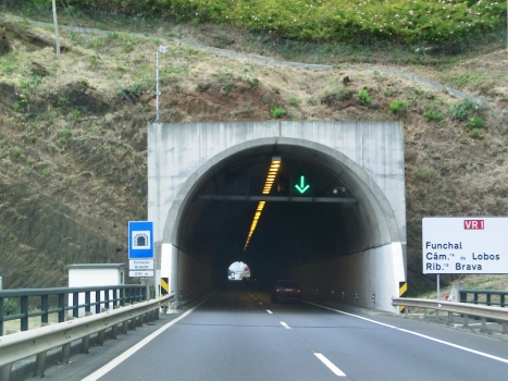 Tunnel de Pinheiro Grande