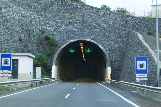 Piquinho Tunnel southern portal