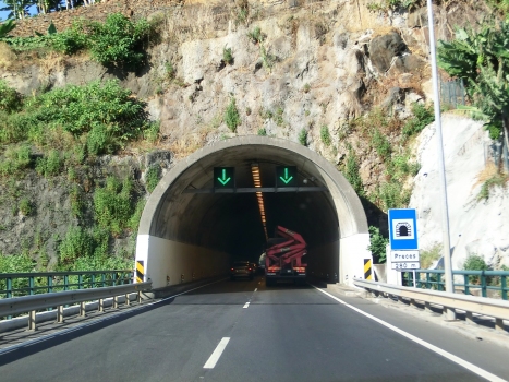 Preces Tunnel eastern portal