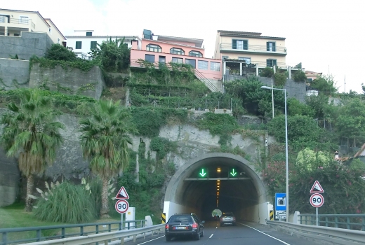 Preces Tunnel western portal