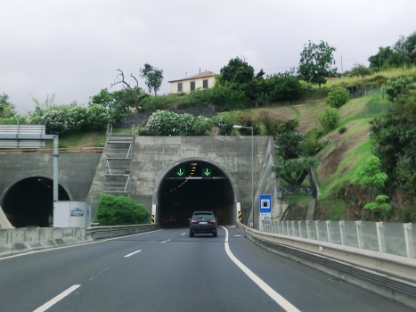 Quinta da Palmeira Tunnel eastern portals