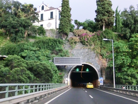 Tunnel Quinta da Palmeira