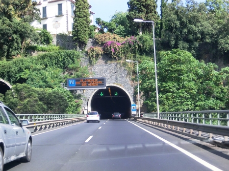 Quinta da Palmeira Tunnel western portal