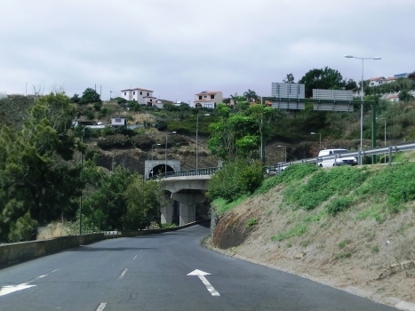 Pinheiro Grande Bridge and Pinheiro Grande Tunnel eastern portal