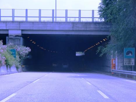 Via Albere-Tunnel (I)