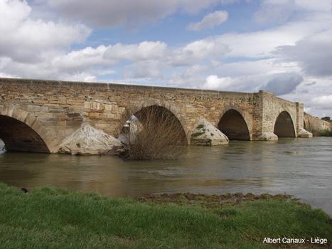 Puente de la Vizana sobre el río Orbigo (Alija del Infantado)