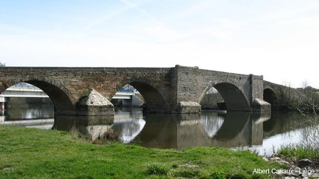 Puente de la Vizana sobre el río Orbigo (Alija del Infantado)