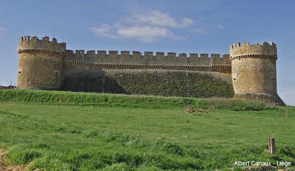 Grajal de Campos Castle