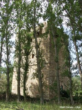Turm der Osorio, Turienzo