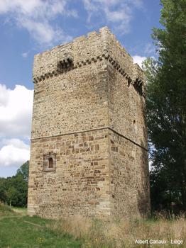 Turm der Osorio, Turienzo