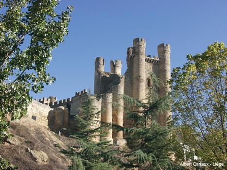 Château de Coyanza, Valencia de Don Juan