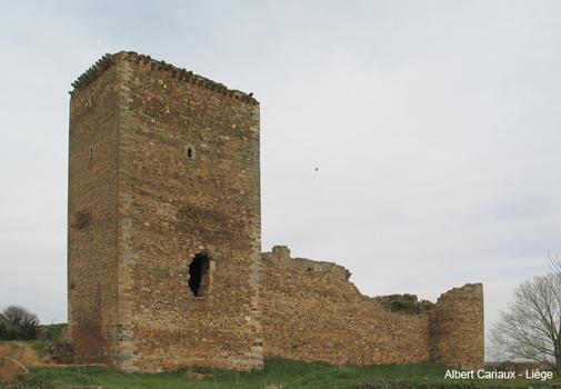 Burg in Villanueva de Jamuz
