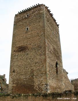 Château de Villanueva de Jamuz
