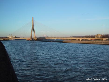 Maas und Albertkanal mit der Wandre-Brücke