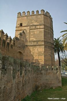 Sevilla City Walls