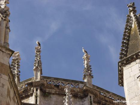 Cathédrale de León