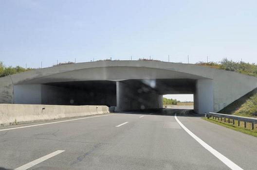 Autobahn A 4 (Österreich)