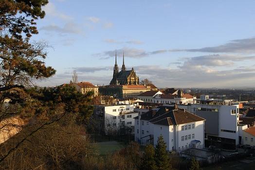 Cathedral of Saints Peter and Paul (Brno)