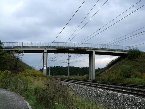 Triftweg Railroad Overpass