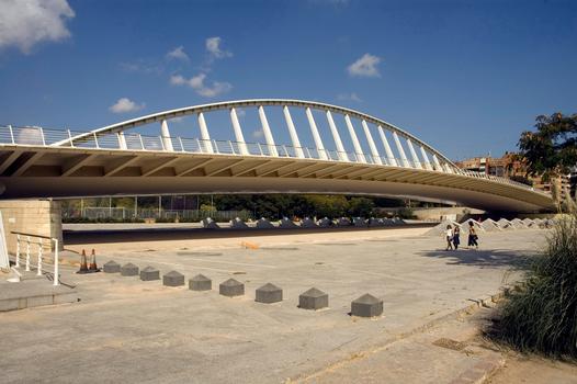 Pont d'Alameda, Valence