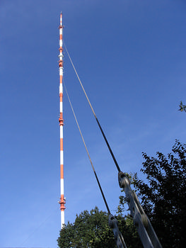 Steinkimmen Transmitter