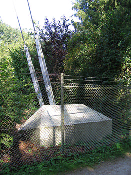Steinkimmen Transmitter