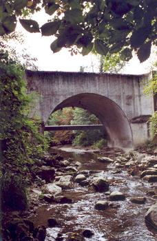 Grand-Lancy Bridge