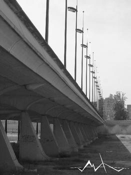 Pont du 9 Octobre, Valence