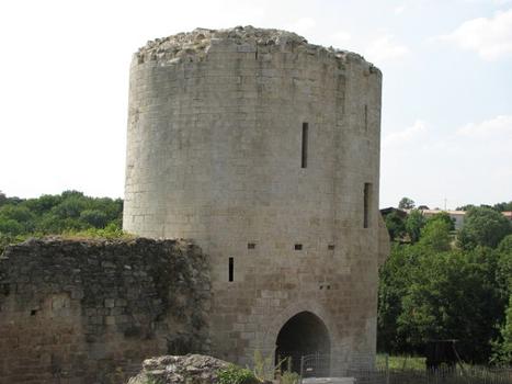 Château du Coudray-Salbart, Echiré