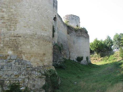Château du Coudray-Salbart 12ème et 13ème siècle, Grosse Tour, Tour Saint-Michel, Tour Double , Echiré, Deux-Sèvres, Poitou-Charentes, France