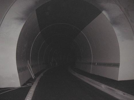 Tunnel T33, Principauté de Monaco