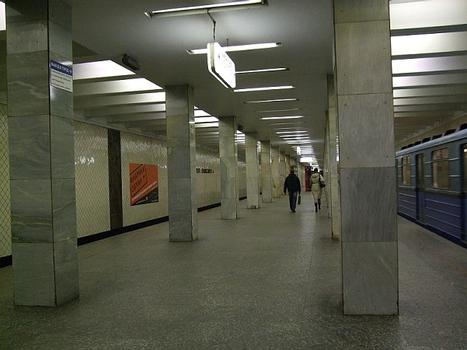 Metrobahnhof Wolgogradskiy Prospekt, Moskau