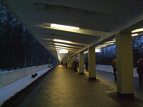 Metrobahnhof Ismailowskaja, Moskau