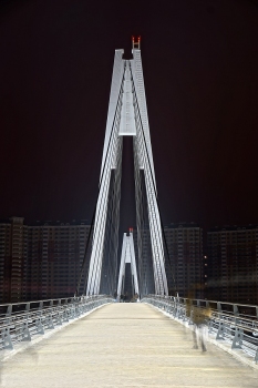Geh- und Radwegbrücke Myakinino