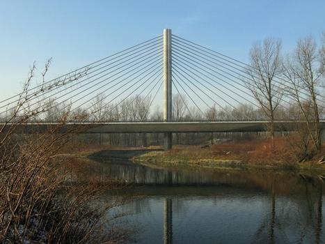 D47 Motorway cable-stayed bridge crossing the Odra river and the Antosovice lake