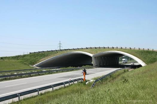Ecoduct Over D1 Motorway near Suchdol nad Odrou