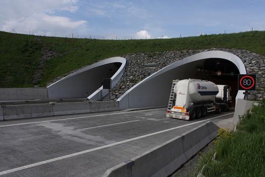 Klimkovice Tunnel - Southwestern portals