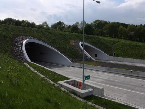 Klimkovice Tunnel - Northeastern portals