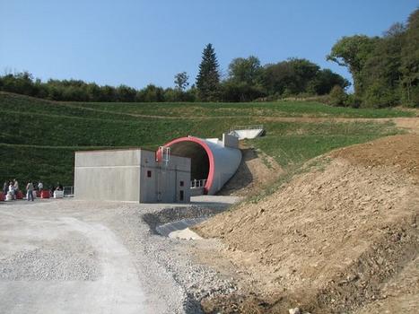 Tunnel de Chavanne - Tête Est