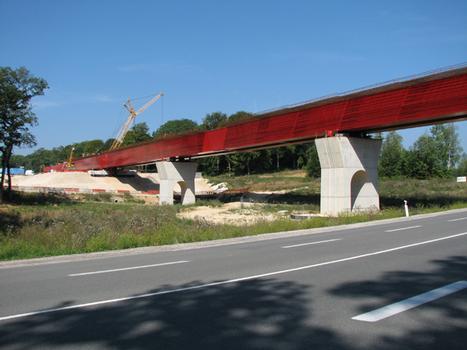 Viaduc de la Lizaine: Franchissement de la RD438