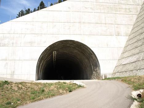 Tube Fermé - Direction Gap -> Grenoble - En attente du Second pont du Viaduc de Monestier de Clermont