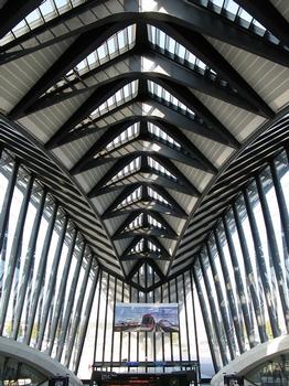 Lyon-Saint Exupéry Airport Station