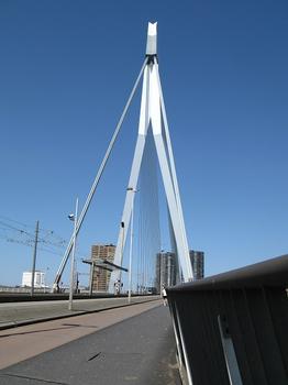 Rotterdam, Erasmus-Brücke